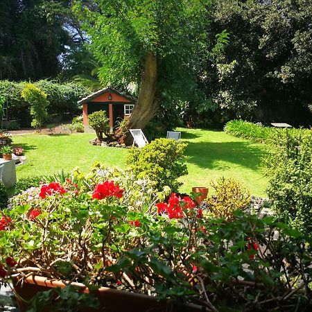 Jardines De Hortensia - Vacation Home Tenerife La Laguna  Eksteriør billede