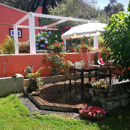 Jardines De Hortensia - Vacation Home Tenerife La Laguna  Eksteriør billede