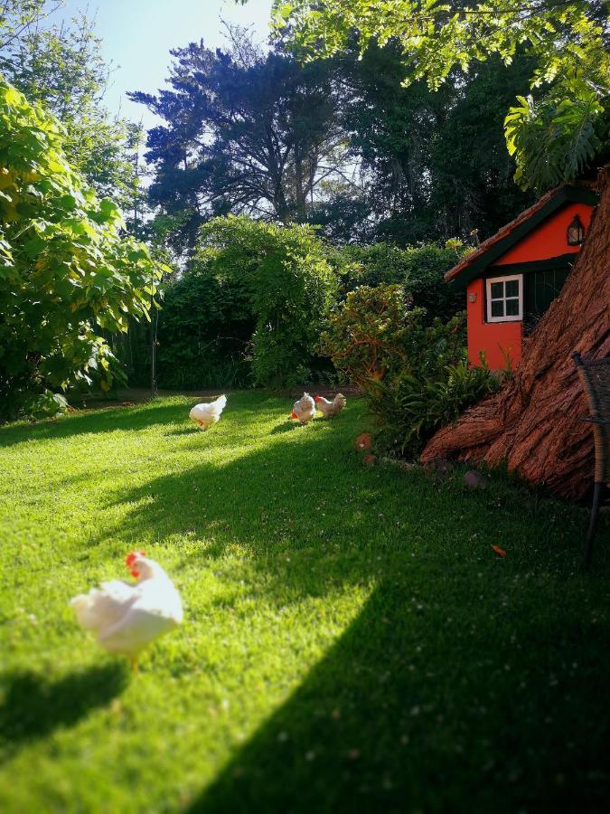 Jardines De Hortensia - Vacation Home Tenerife La Laguna  Eksteriør billede