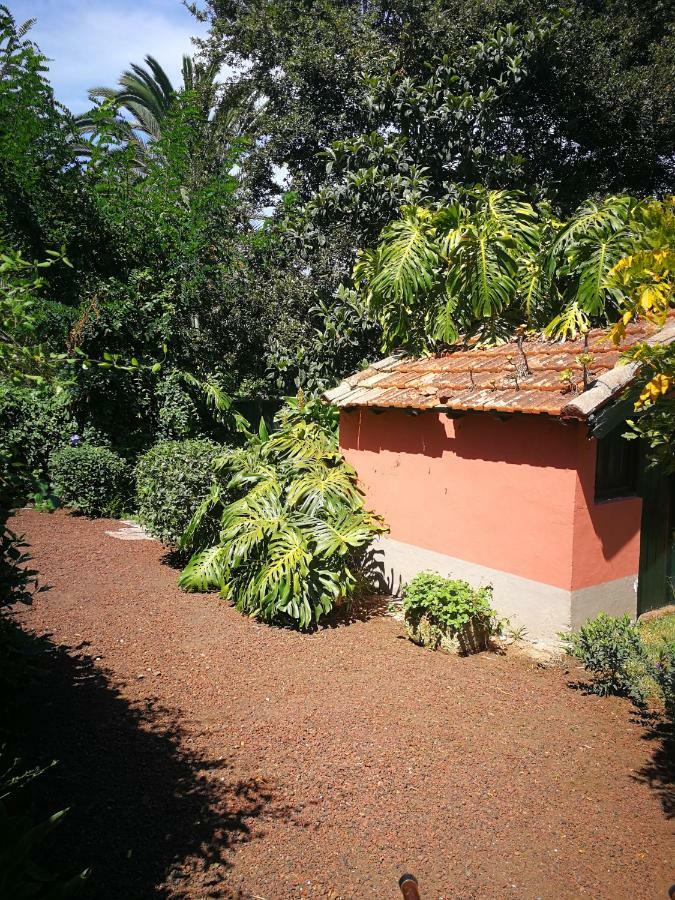 Jardines De Hortensia - Vacation Home Tenerife La Laguna  Eksteriør billede