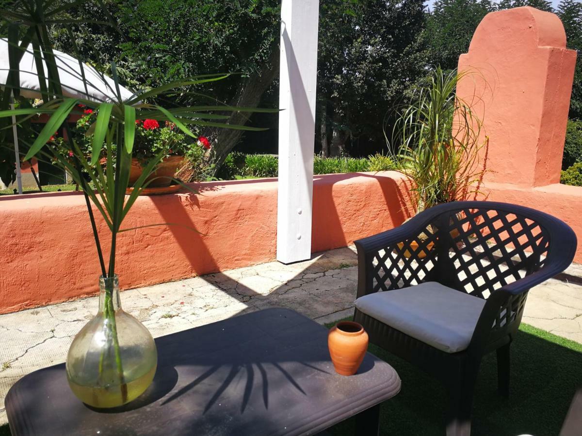 Jardines De Hortensia - Vacation Home Tenerife La Laguna  Eksteriør billede