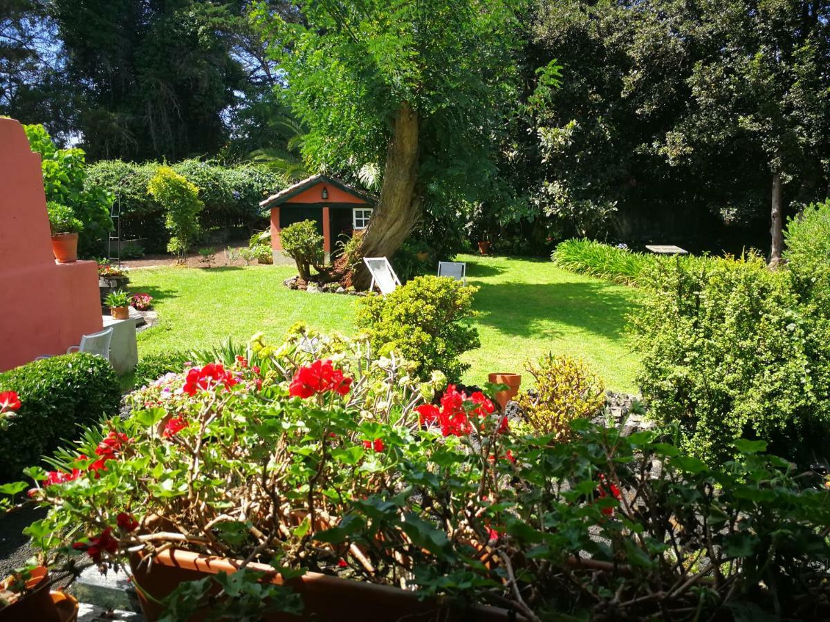 Jardines De Hortensia - Vacation Home Tenerife La Laguna  Eksteriør billede