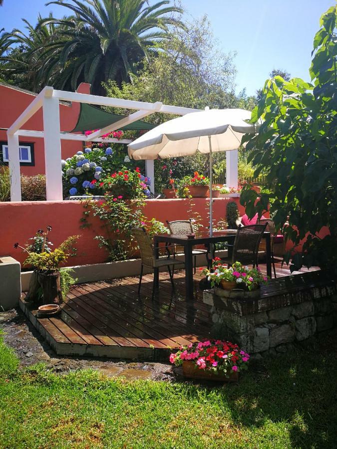 Jardines De Hortensia - Vacation Home Tenerife La Laguna  Eksteriør billede