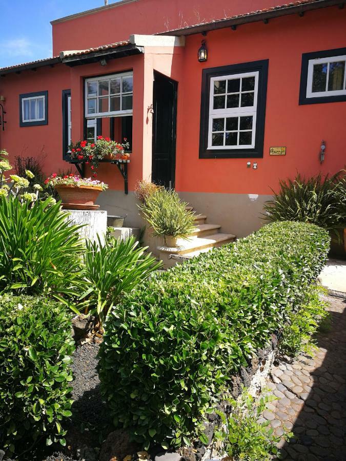 Jardines De Hortensia - Vacation Home Tenerife La Laguna  Eksteriør billede