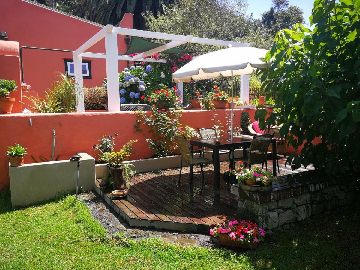 Jardines De Hortensia - Vacation Home Tenerife La Laguna  Eksteriør billede